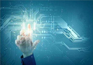 吳中區(qū)口碑佳、價格優(yōu)的系統(tǒng)開發(fā)與互聯(lián)網(wǎng)信息技術(shù)服務